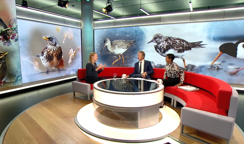 Reserve Manager, Louise Greenwood, talks migratory birds on BBC Breakfast